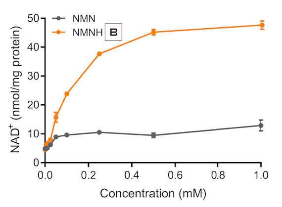 NMNH (amorfní) vs. NMN